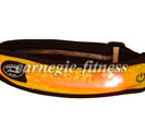 Running Flashing Arm Band