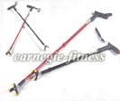 Walking Stick